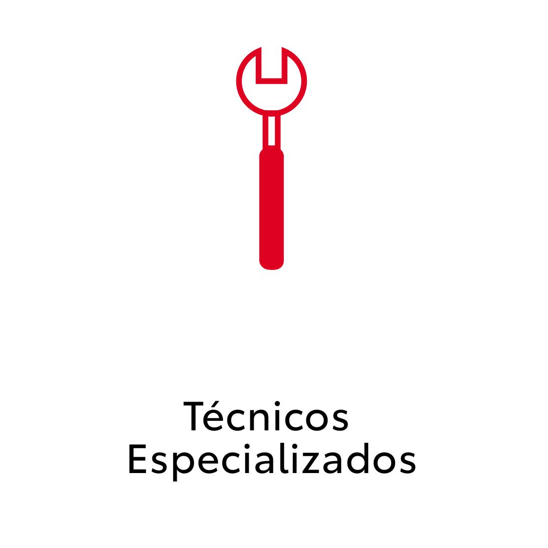 Técnicos